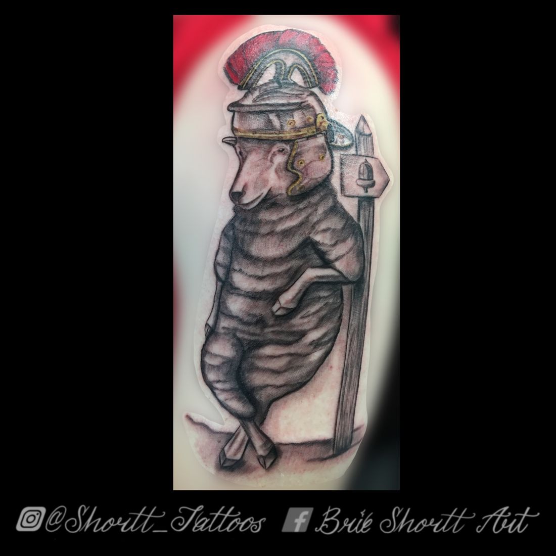 Illustrative spartan pig tattoo