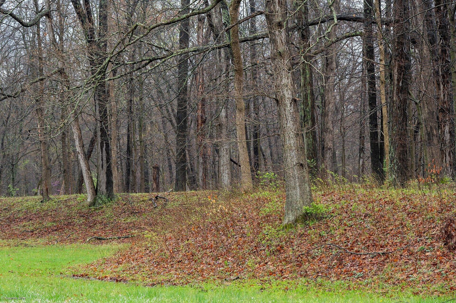 Fort Ancient earthworks above the Little Miami River