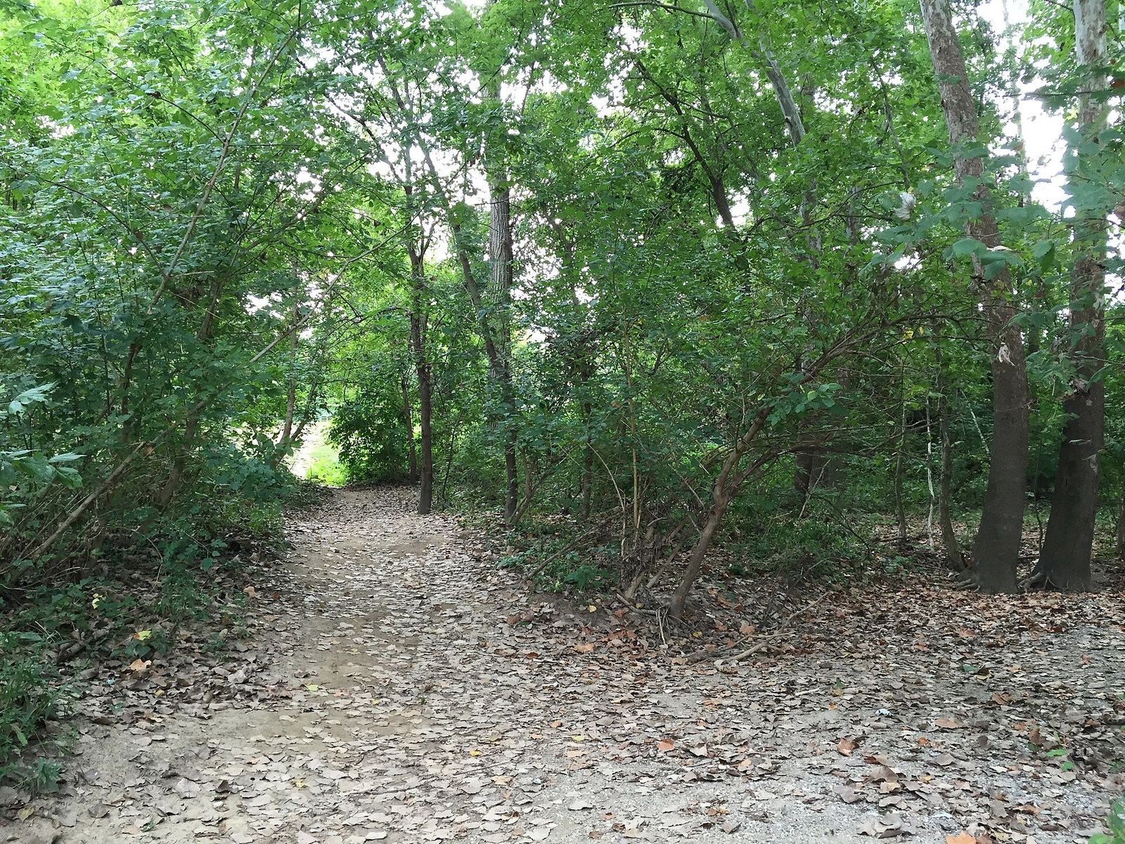 Wooded footpath down to the Little Miami River